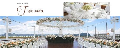 Tour du lịch Hạ Long trên du thuyền Paradise Delight